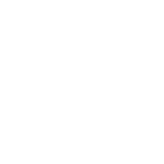 PDC Darts
