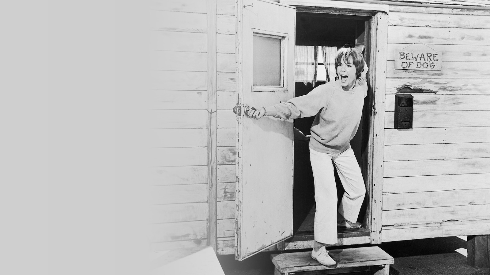 En ung stjernes verden