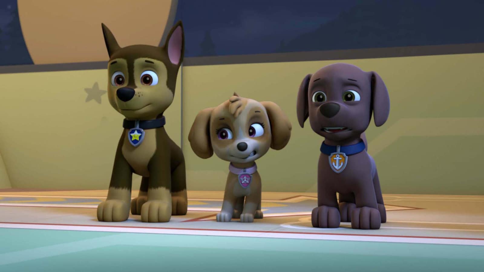 paw-patrol/sasong-5/avsnitt-19