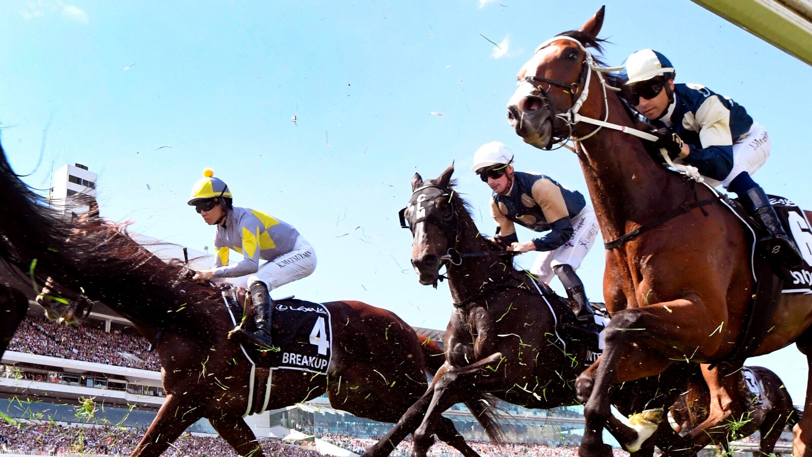 hestesport/crown-jewels-racing/melbourne-cup/s24102830818536540