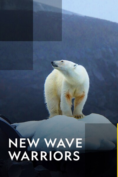 new-wave-warriors-2017