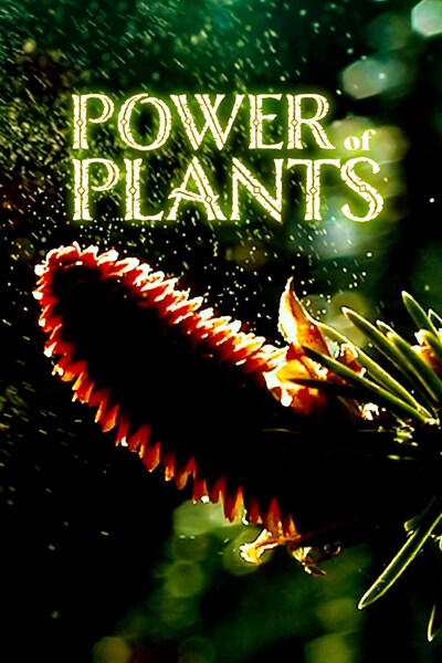 power-of-plants/season-1/episode-1