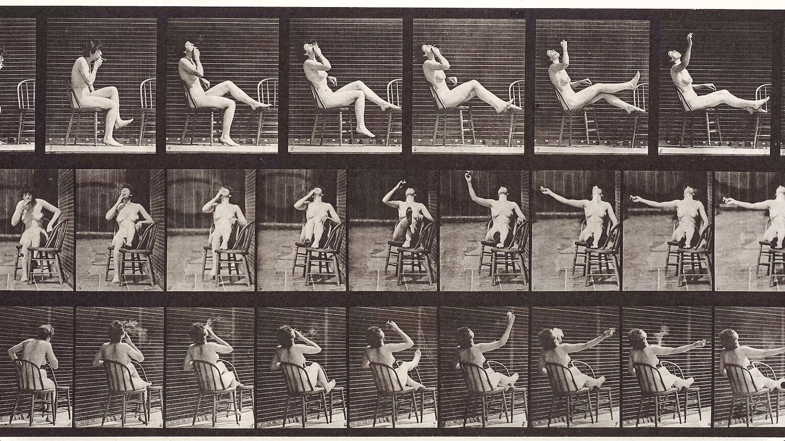 exposing-muybridge-2021