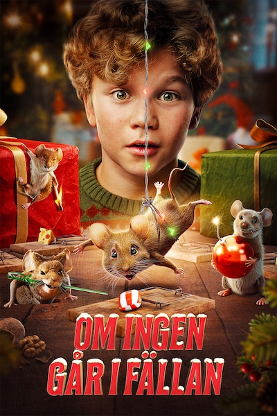 om-ingen-gar-i-fallan-2025