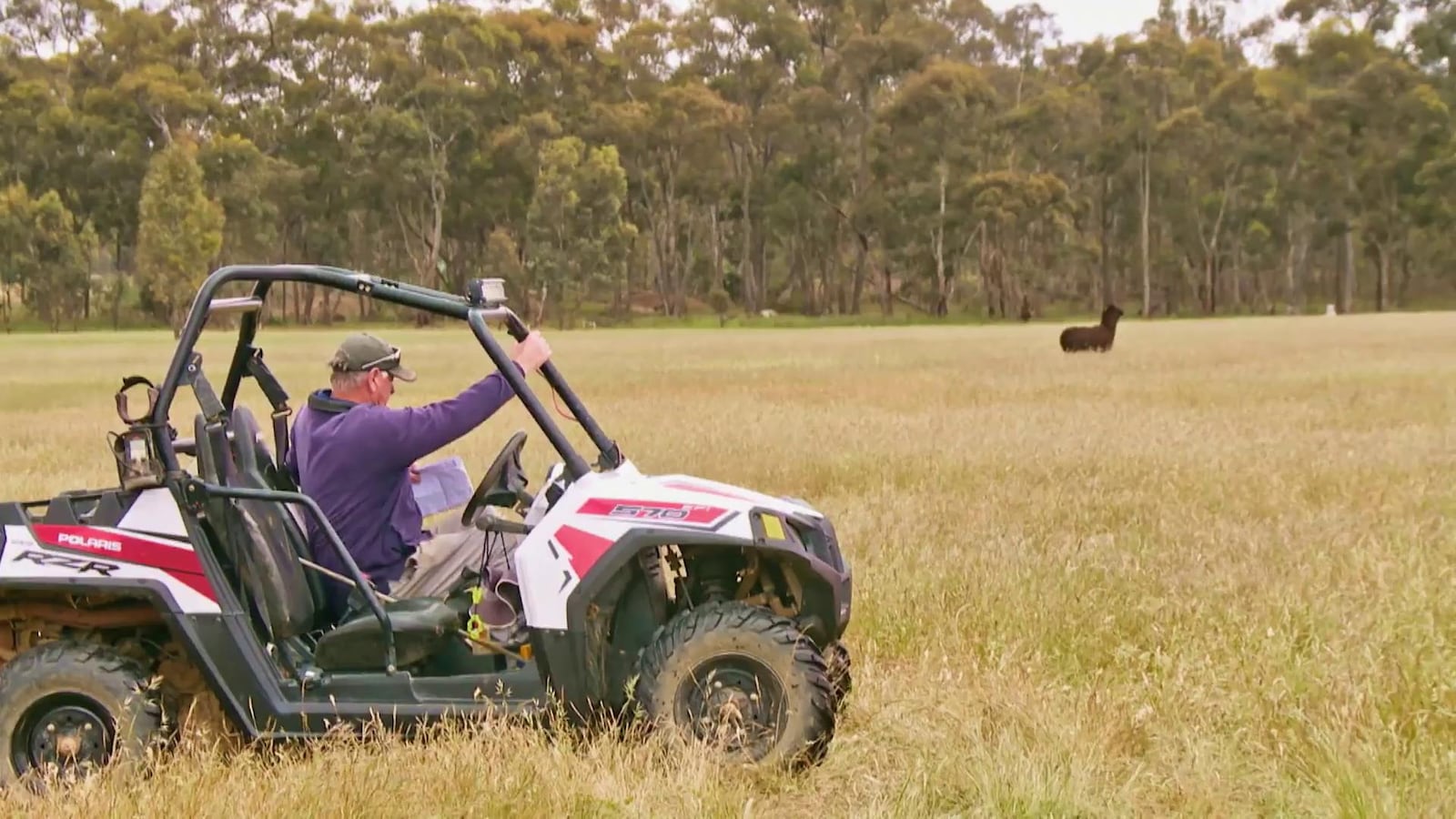 Guldjägarna i Australien