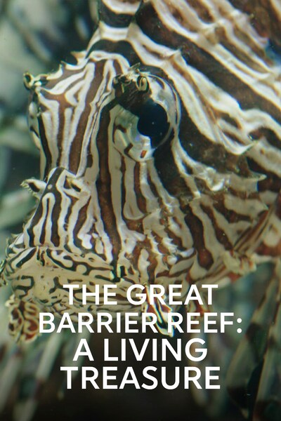 great-barrier-reef-the-en-levende-skat