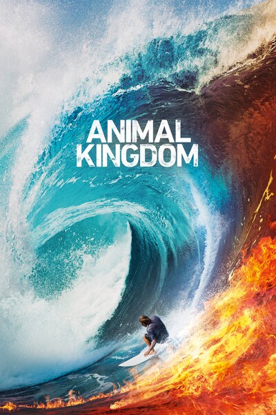 animal-kingdom
