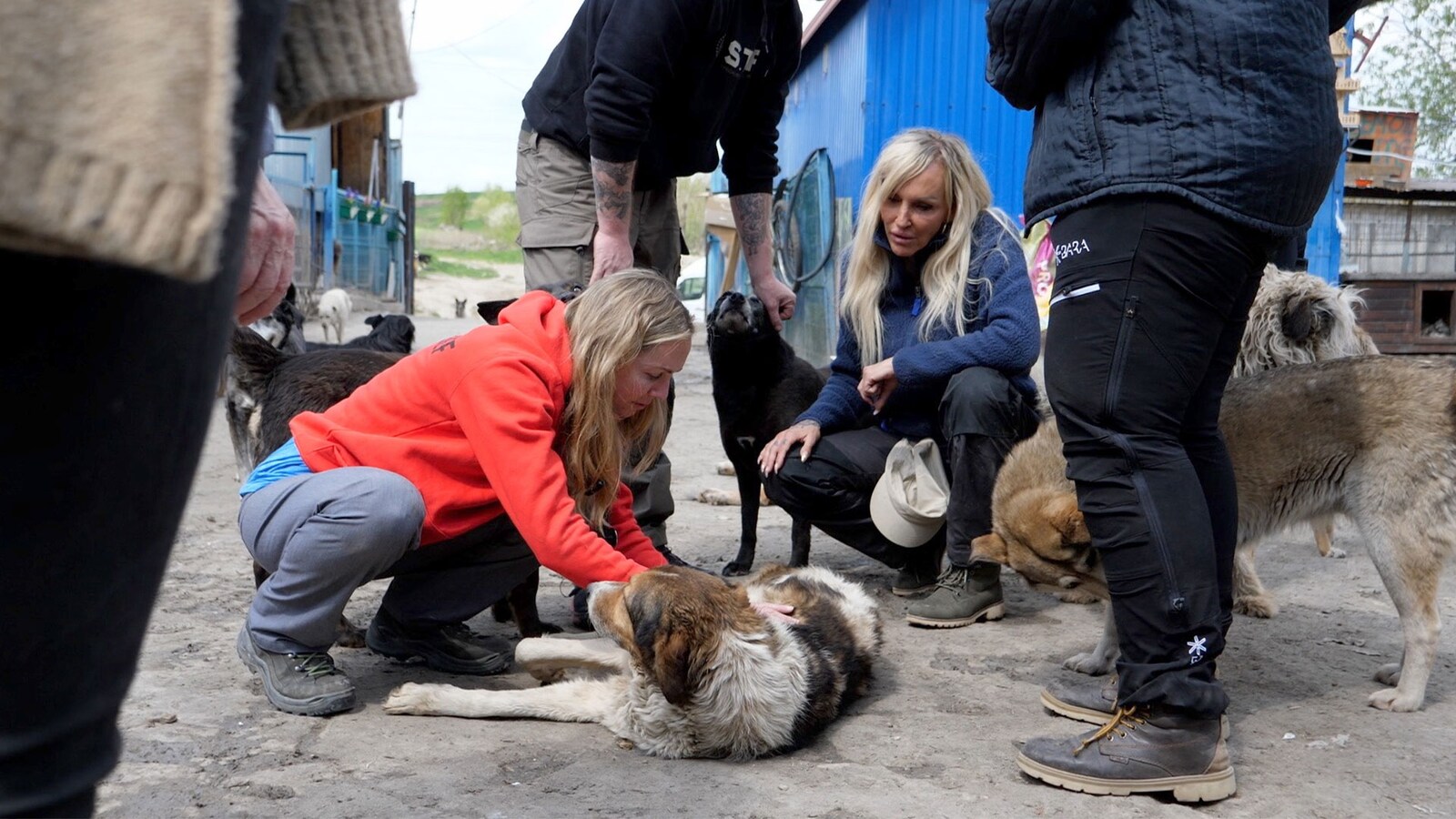 Familien fra Bryggen