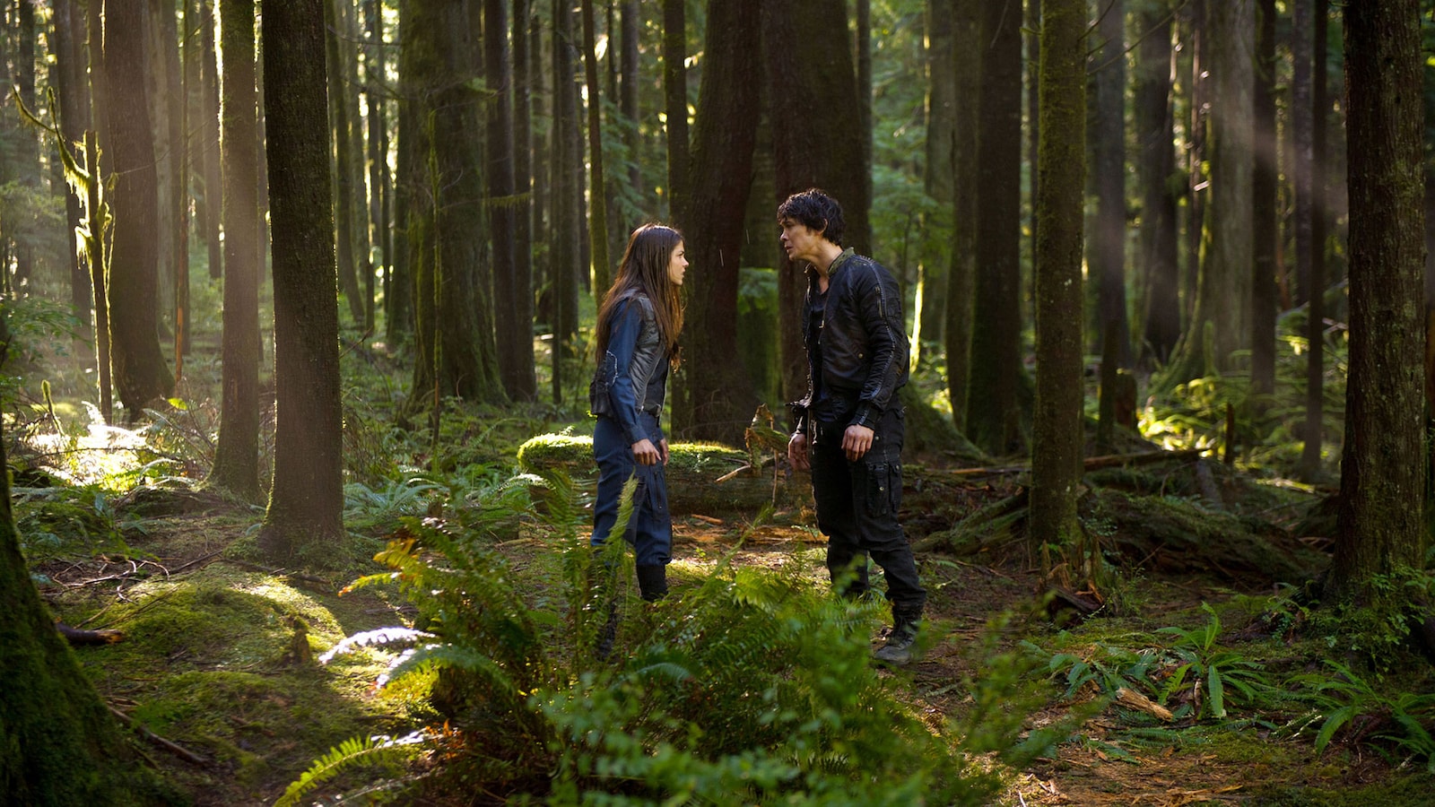 The 100