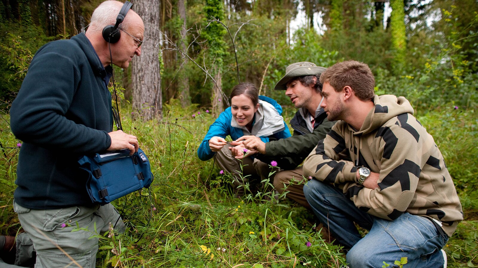 wild-scene-investigation