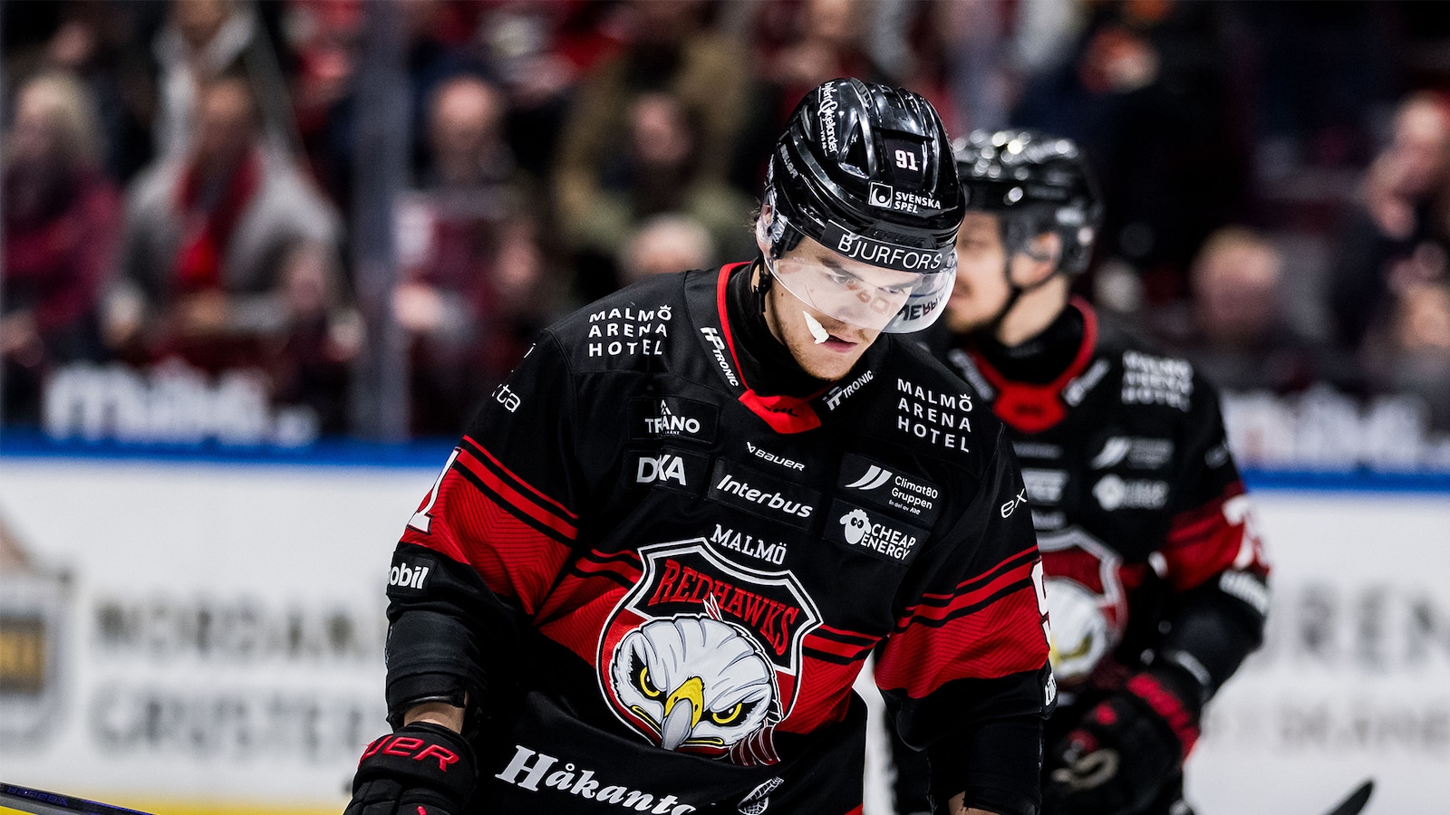 Malmö - Djurgården