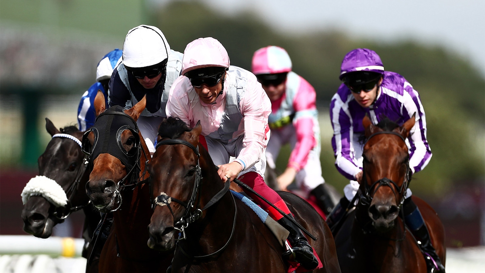 Sussex Stakes
