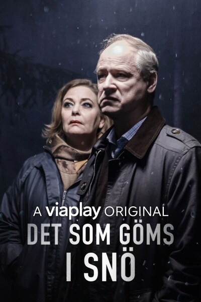 det-som-goms-i-sno