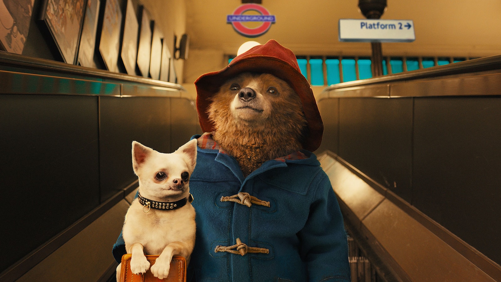 paddington-2014