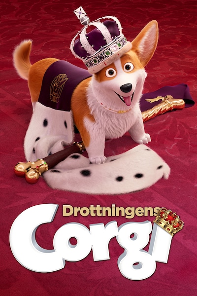 drottningens-corgi-2019