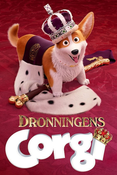 dronningens-corgi-2019