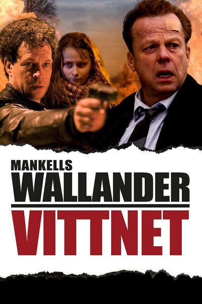 wallander-vittnet-2010