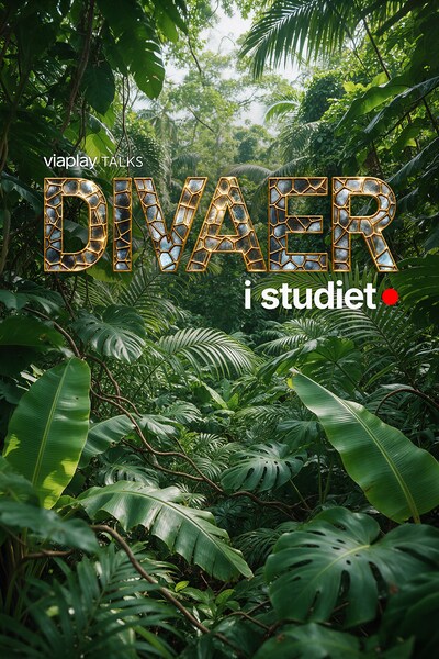 divaer-i-studiet