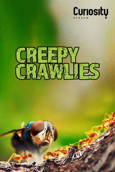 creepy-crawlies/sasong-1/avsnitt-3