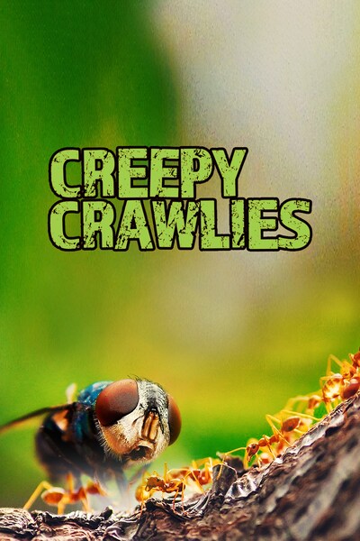 creepy-crawlies