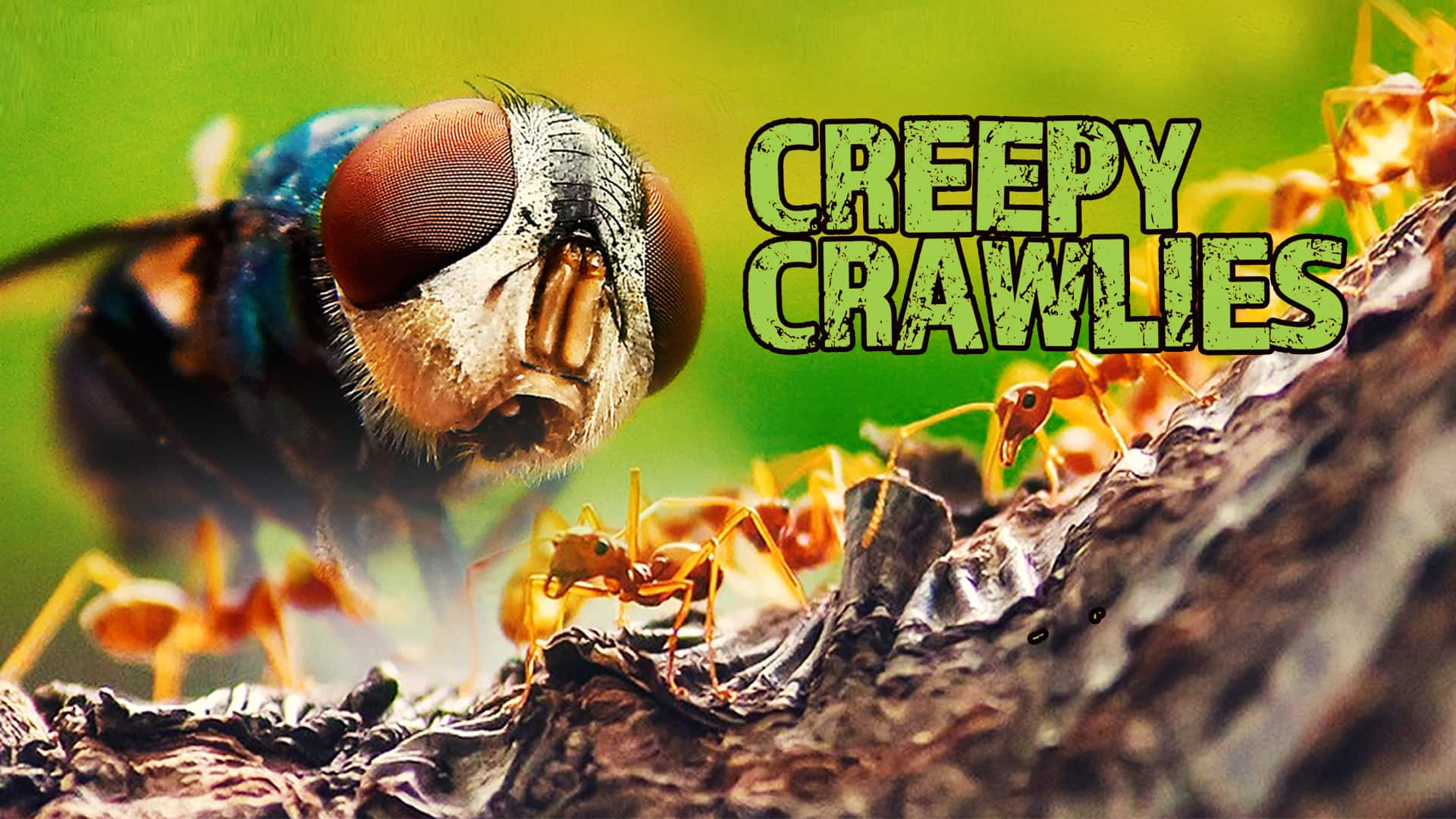 Creepy Crawlies - Viaplay