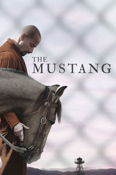 the-mustang-2019