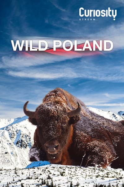wild-poland-2012