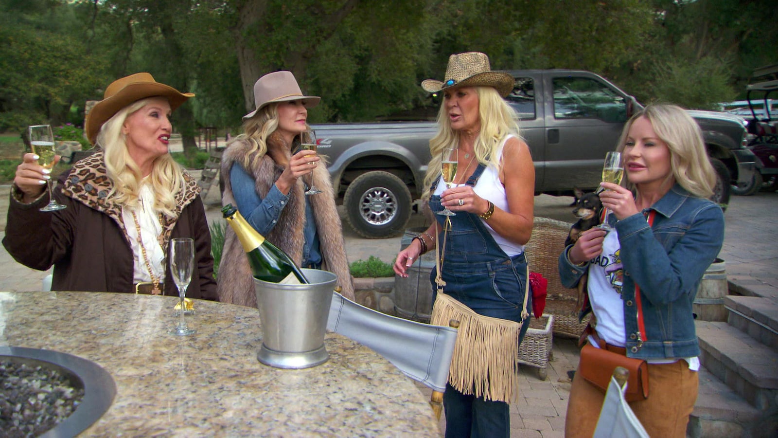 Svenska Hollywoodfruar