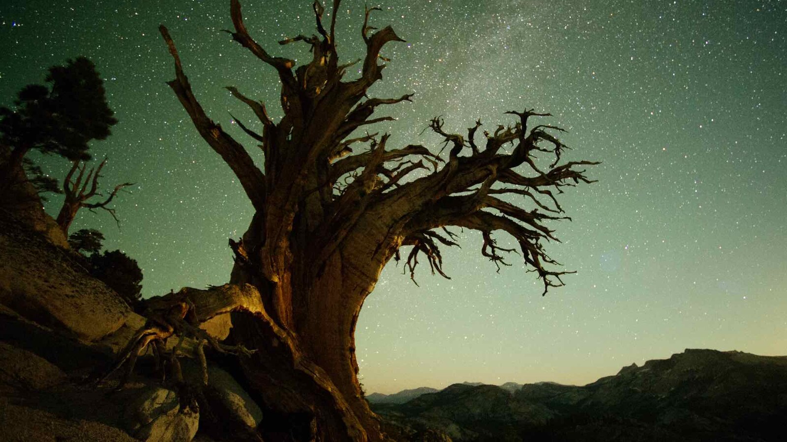 americas-national-parks