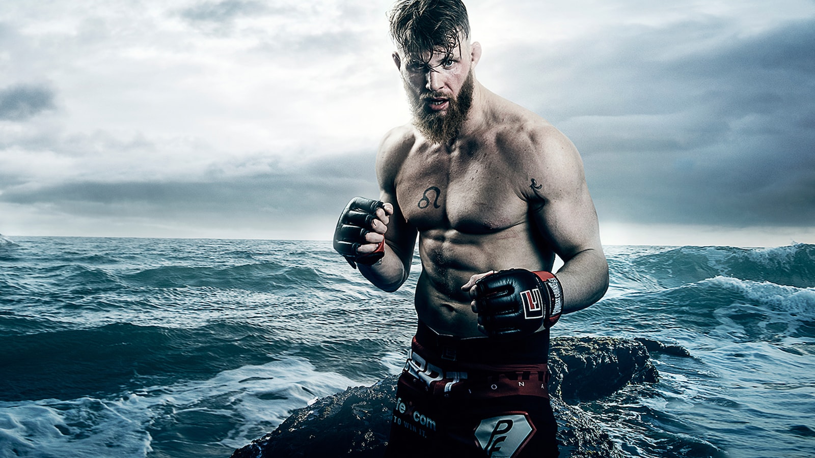 to-valhall-ufc-2016