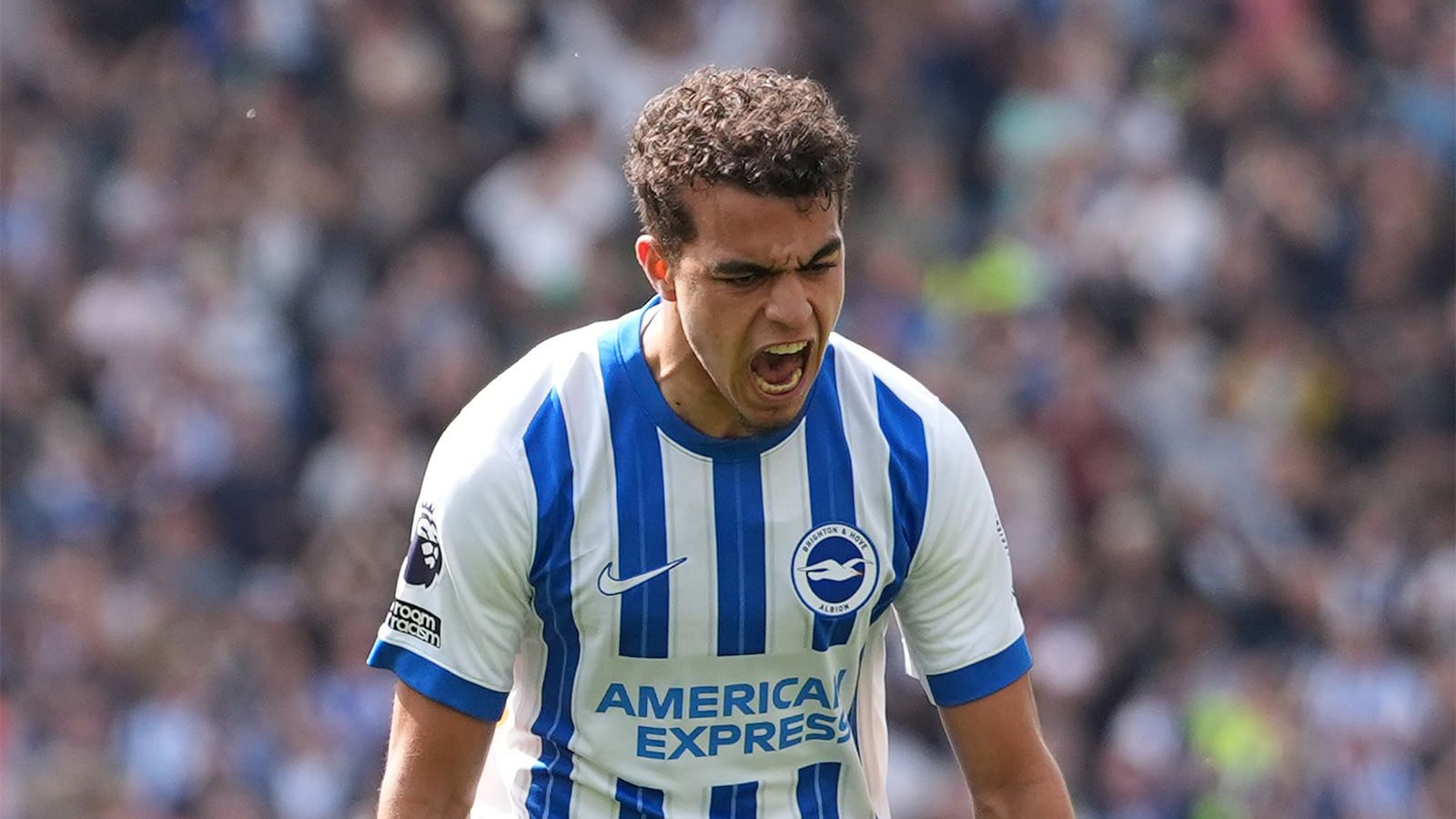 Brighton - Fulham
