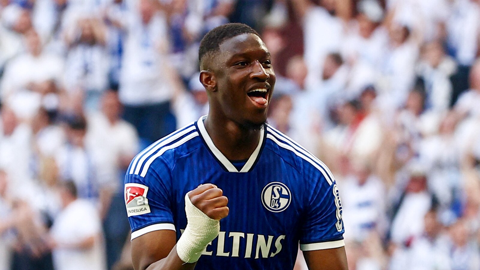 Schalke - Hertha Berlin