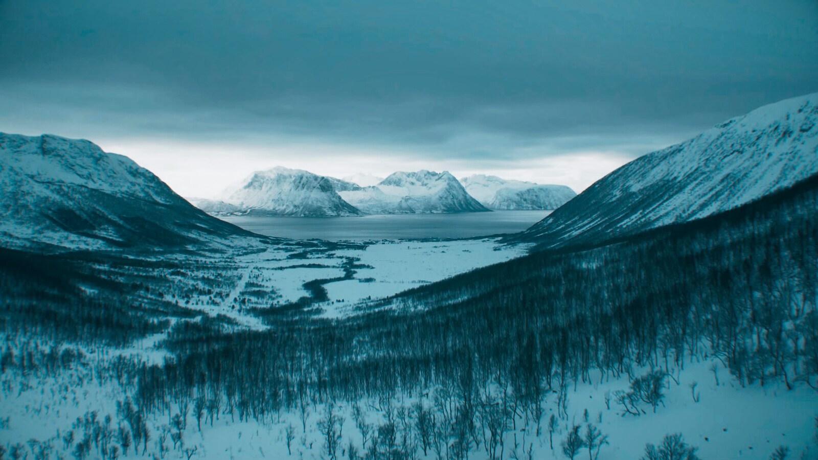 PL Stories: Norwegian Strikers