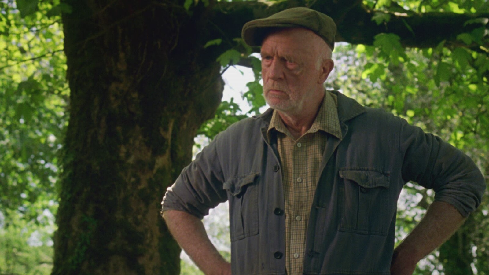 Doc Martin