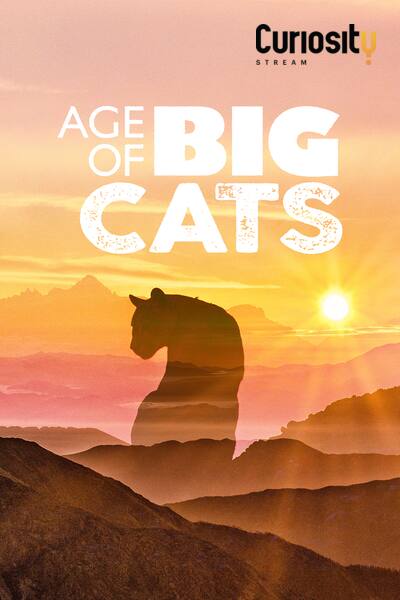 age-of-big-cats