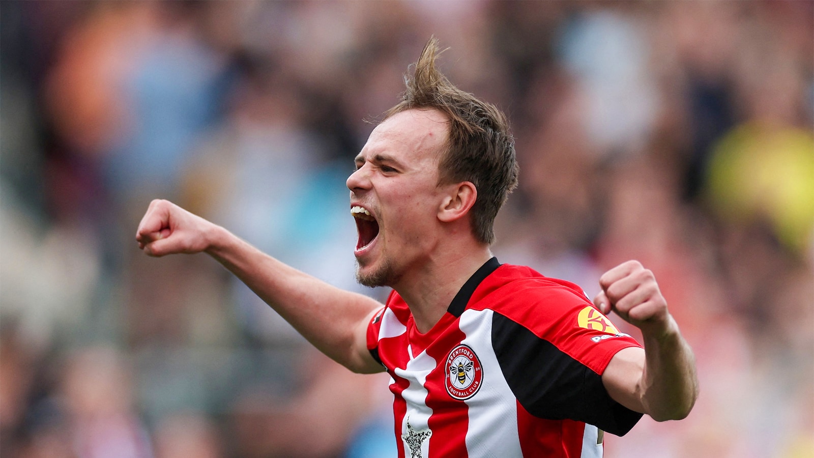 Reading - Brentford