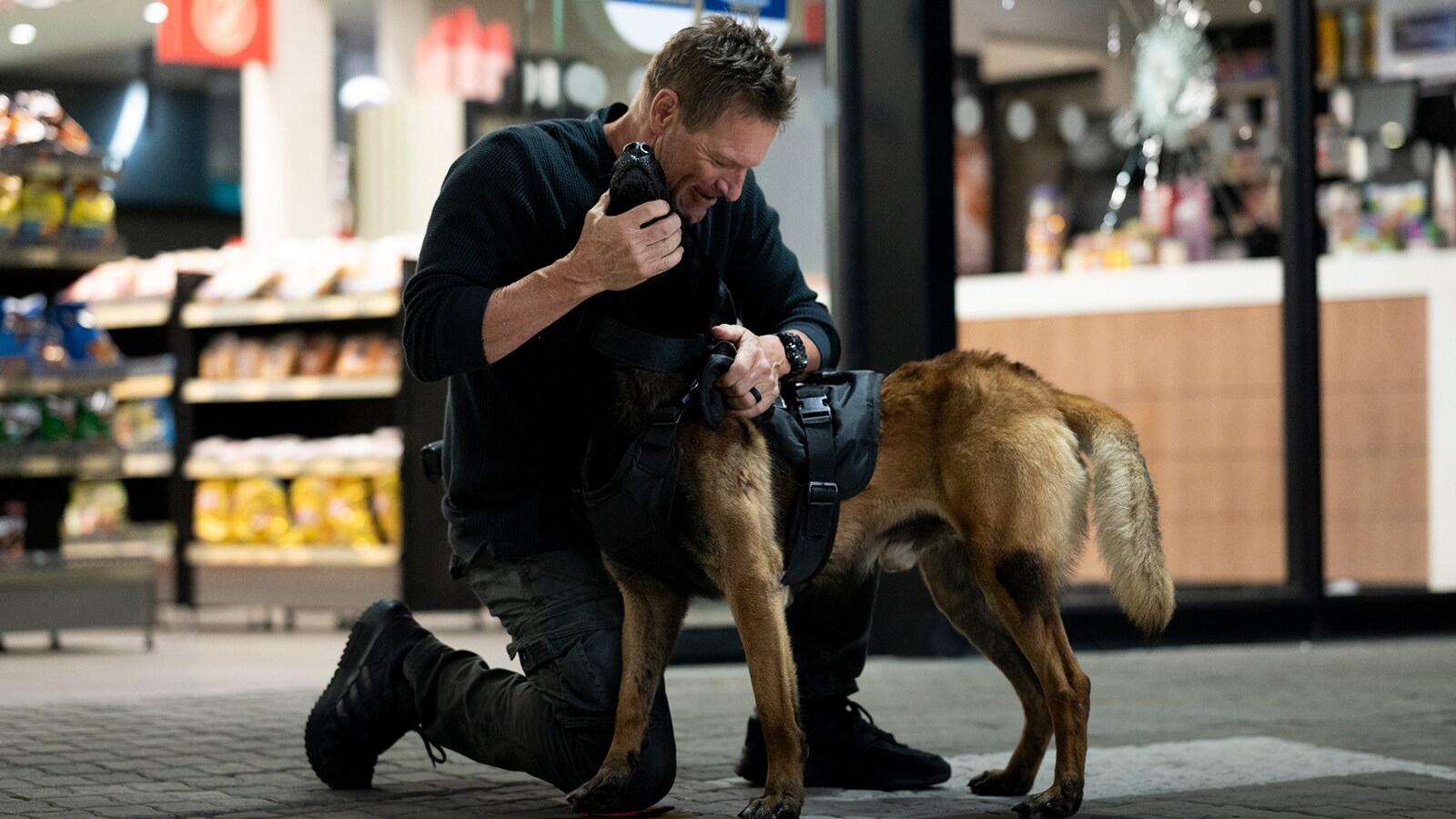 Muzzle: City of Wolves