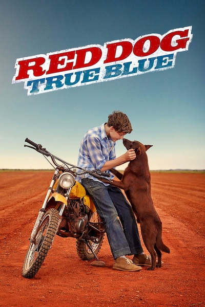 red-dog-true-blue-2016