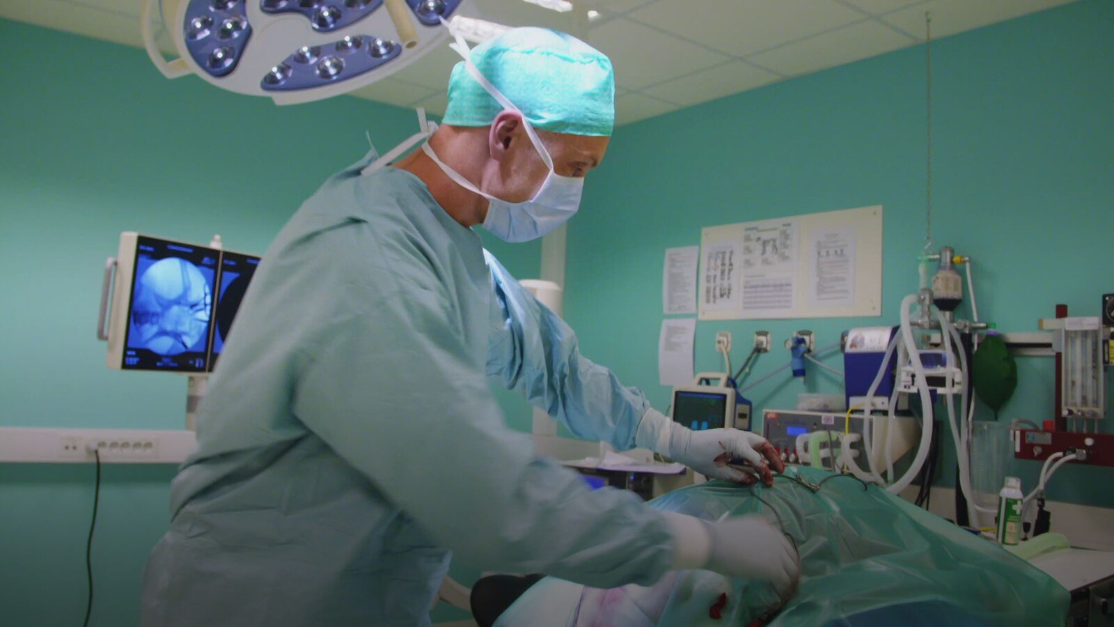 Veterinærene