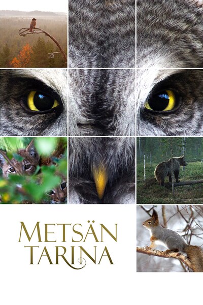metsan-tarina-2012