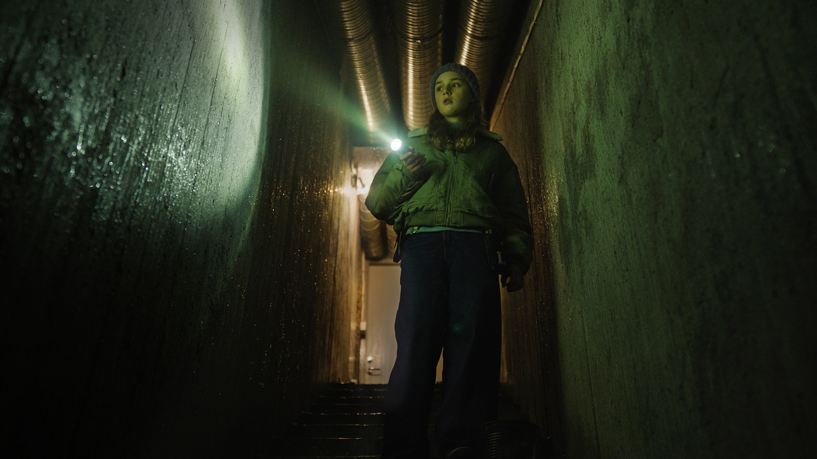 Lassemajas detektivbureau: Maskotten der forsvandt