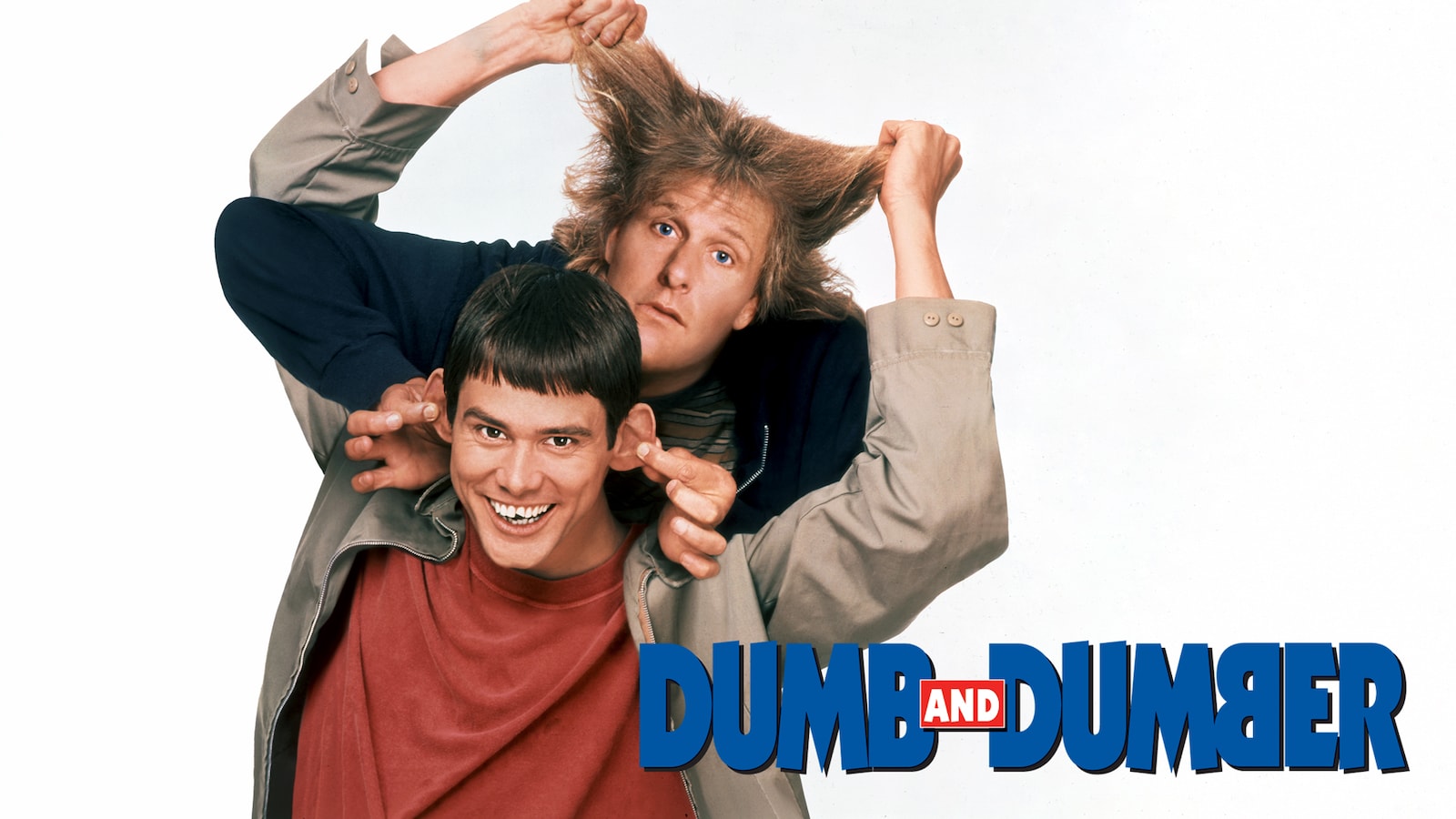 Dum och dummare