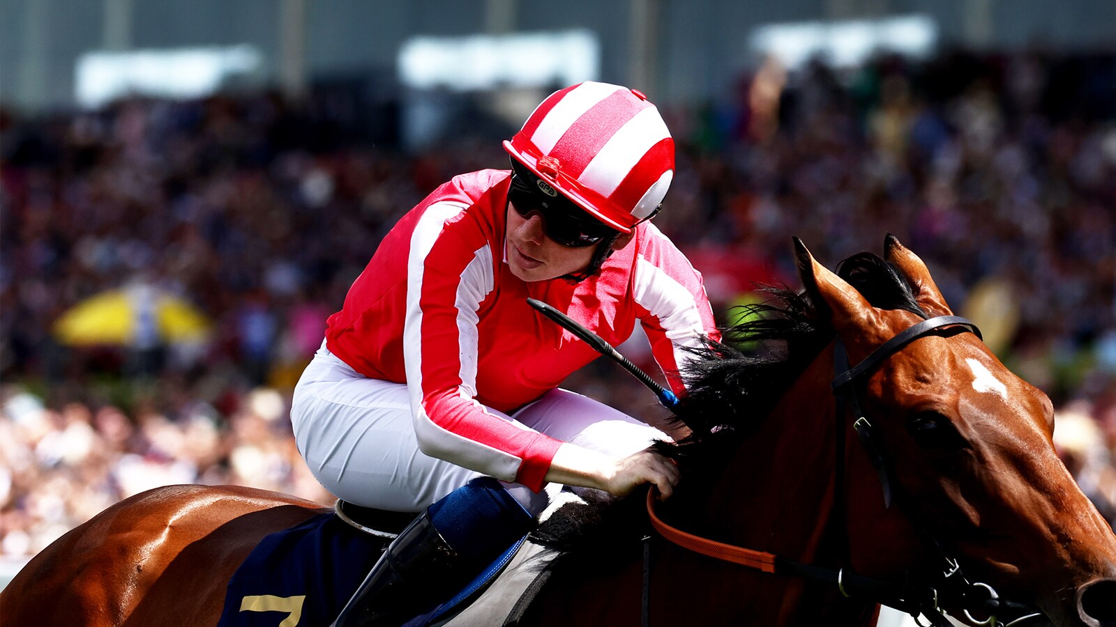 Qatar Sussex Stakes