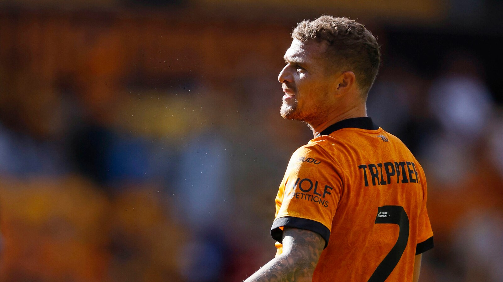 Sheffield Wednesday - Wolverhampton