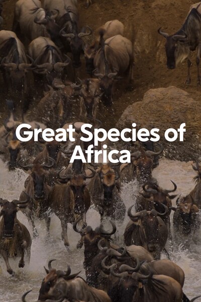 great-species-of-africa