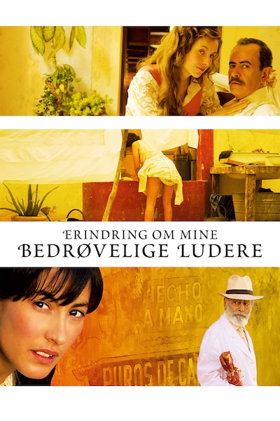 erindring-om-mine-bedrovelige-ludere-2011