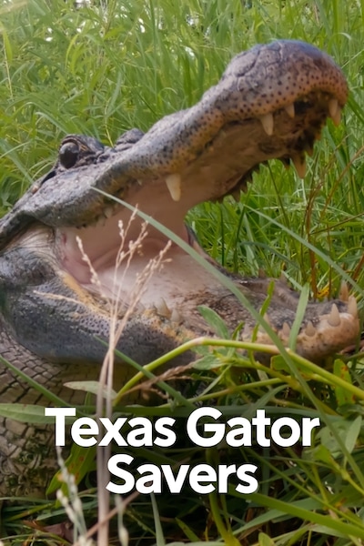 texas-gator-savers