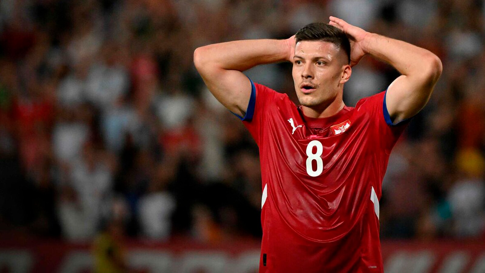 Serbien - Saudiarabien