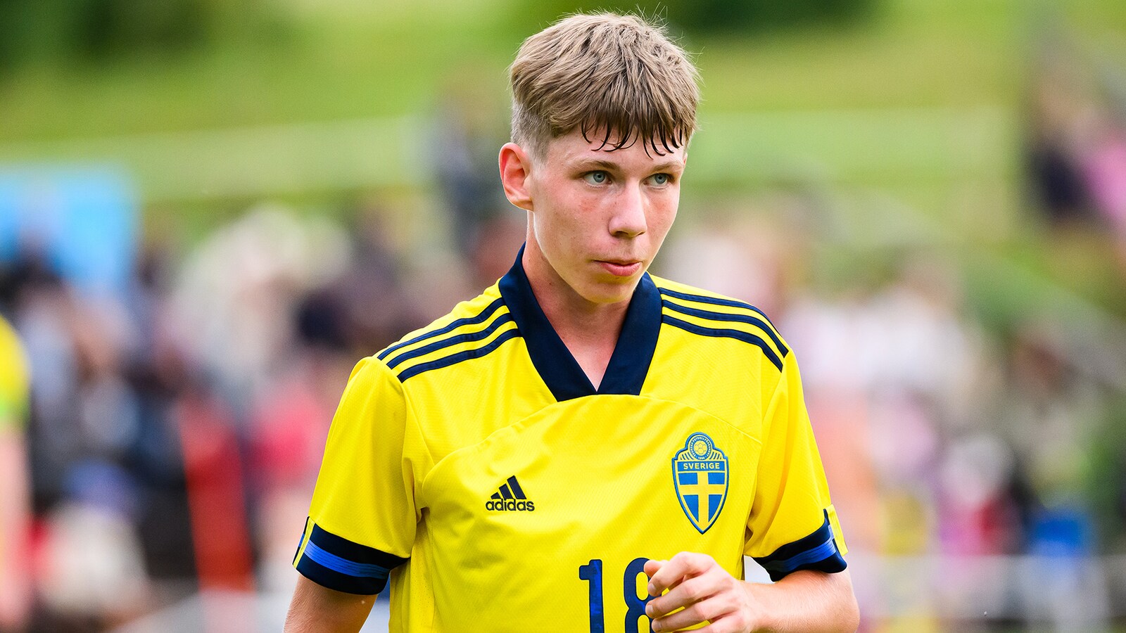 Sverige - Danmark