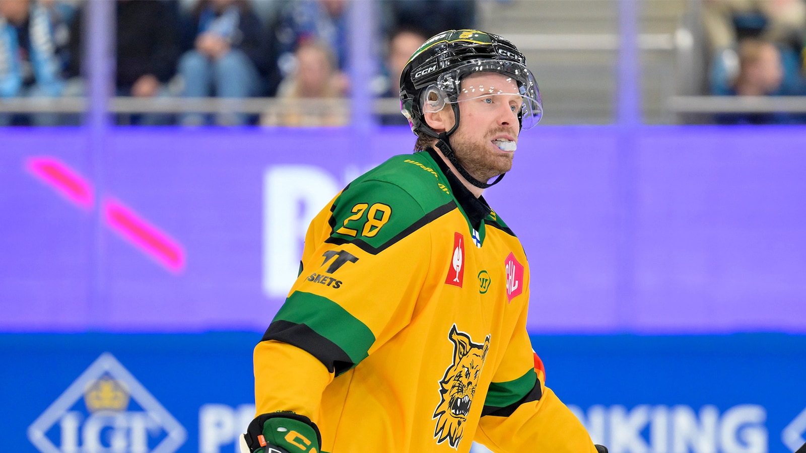 Kometa Brno - Ilves